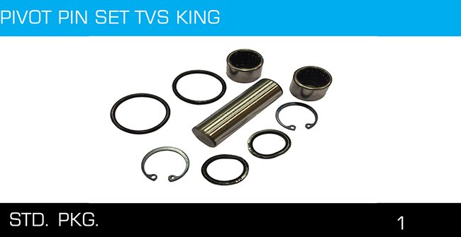 PIVOT PIN SET TVS KING